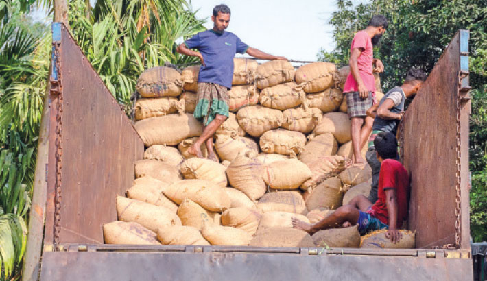 Maize Makes Mark On Farmers’ Lives